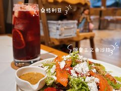 -Cats&Rabbits猫兔酒吧