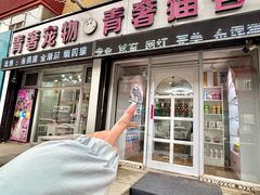 -青奢宠物·青奢猫舍