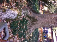 iphone_upload_pic-普陀山风景名胜区-法雨禅寺