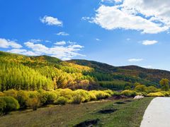 -塞罕坝国家级自然保护区