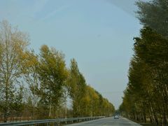 -吊水壶国家森林公园