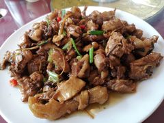 现杀果园鸡—黄焖鸡-生态苑农庄(十里画廊遇龙河店)