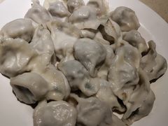 茴香猪肉-岳姥姥饺子(泺文路店)