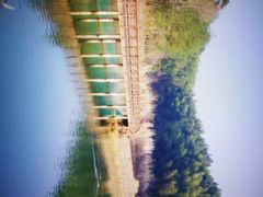 -千岛湖龙川湾