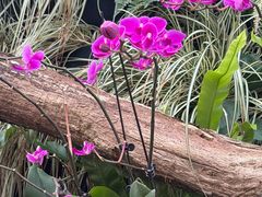 -北京植物园-展览温室