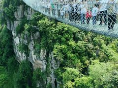 -梦幻奥陶纪景区