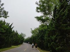 -渡海小渔村.老辈日照菜