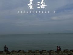 -野狸岛