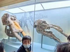 -国家自然博物馆