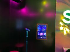 -金青果甄选KTV(劳动公园店)