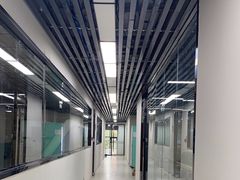 -舞蕾舞蹈(特长生校区)