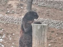 -西霞口神雕山野生动物世界