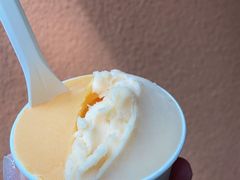 -Dip in Gelato(富民路店)