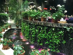 大堂-天宫南铂玫瑰园酒店