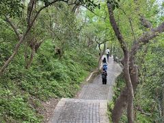 -紫金山山顶公园
