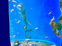 -欢乐海岸海洋奇梦馆