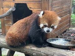 -常州淹城野生动物世界