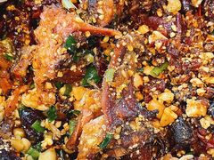 香辣手撕烤兔-老黄记手撕烤兔(玉林街店)