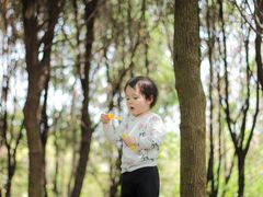 -白鹭湾湿地公园