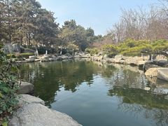 -中国唐苑