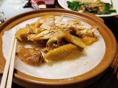 -金苑酒家·客家菜·广东老字号(万象店)