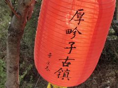 -黑河国家森林公园