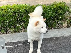 -杭州师范大学仓前校区游泳馆
