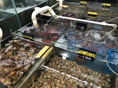 水产区-明记海鲜大排档(巽寮湾店)