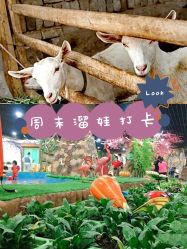 点击看大图 -可可天空农场(中大店)
