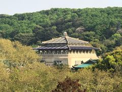 -武汉大学-樱园