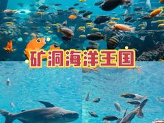 -长鹿旅游休博园