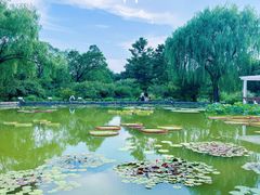 -国家植物园南园
