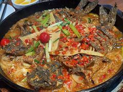 -老板恋上鱼(恒隆广场店)