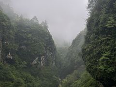 -鹿院坪生态旅游景区