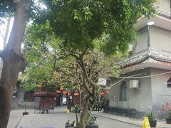 -生宇山珍野生菌汤锅•始于2002(双流古塔店)