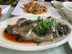 清蒸老虎斑-范饭椰林川湘味海鲜·椰子鸡(三亚湾椰梦长廊店)
