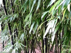 -紫竹院公园冰场