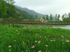 -广州市石门国家森林公园