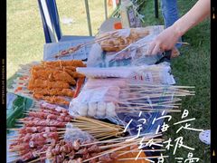 -春花秋色城市公园