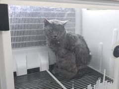 -艾贝尔宠物医院 ·中兽医·宠保定点(北门桥店)