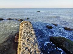 -海驴岛(荣成市)