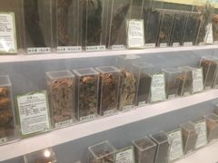 -北京中医药大学-中医药博物馆