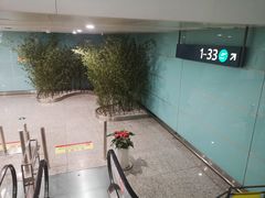 -大连周水子国际机场
