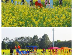 -光明小镇欢乐田园