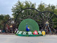 -呀路古热带植物园