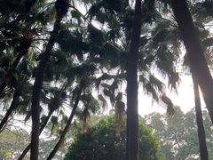 -荔湾湖公园