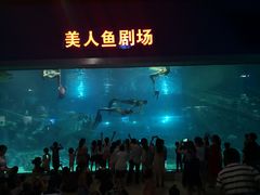 -福州罗源湾海洋世界旅游区