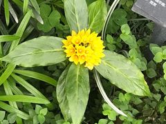 -国家植物园南园