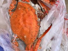 -南戴河国际娱乐中心