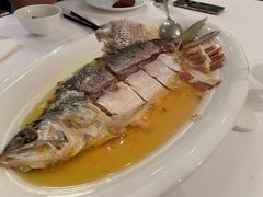 鲥鱼-福1015(愚园路店)